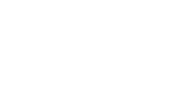 Olloki ALTAVISTA - APISA